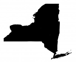 State of Arizona New York